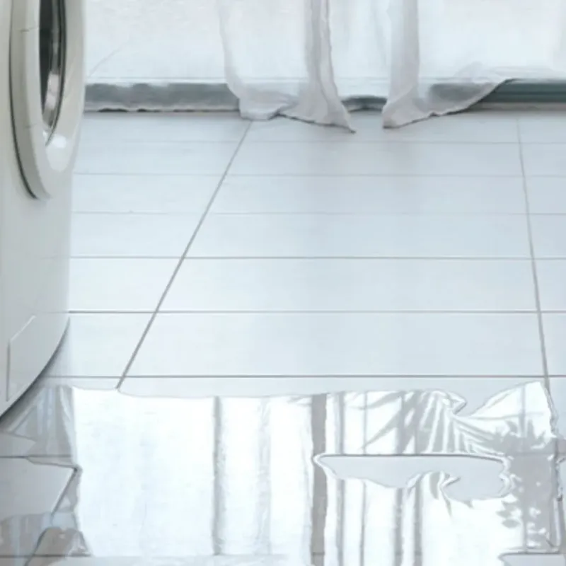 Appliance Leak Cleanup in Racine County, WI
