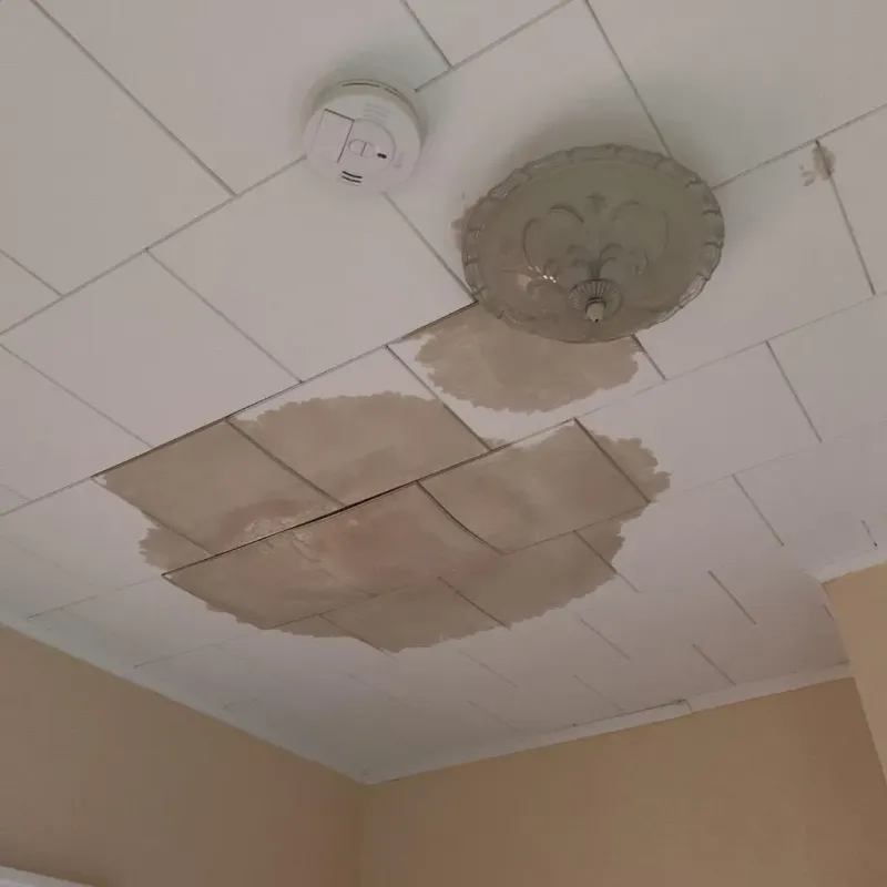 Ceiling Water Damage Repair in Racine County, WI