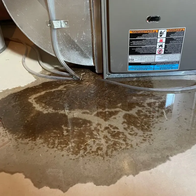 Pipe Burst and Leak Restoration in Racine County, WI